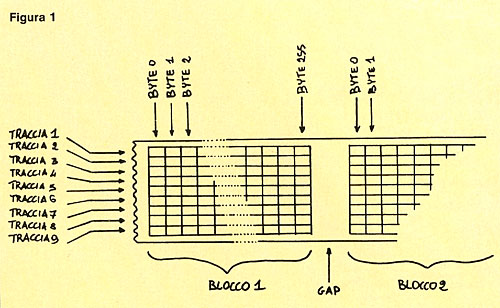 Figura 1