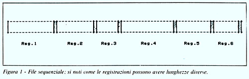 Figura 1