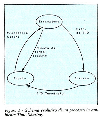 Figura 5