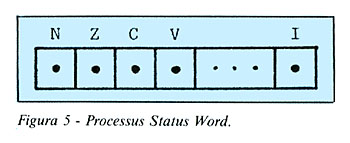 Figura 5