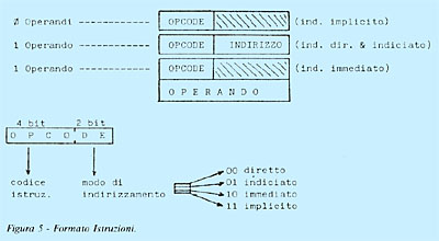 Figura 5