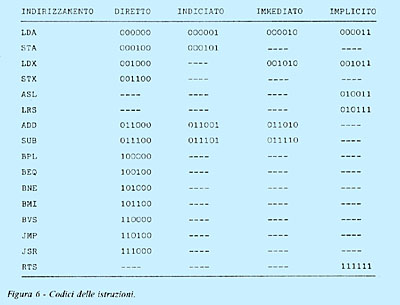 Figura 6