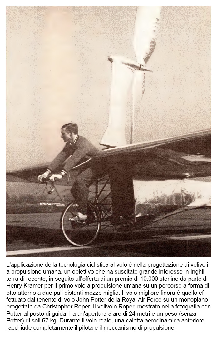 Immagine_inline