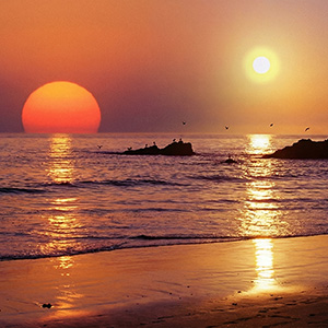 Accedi all'articolo...