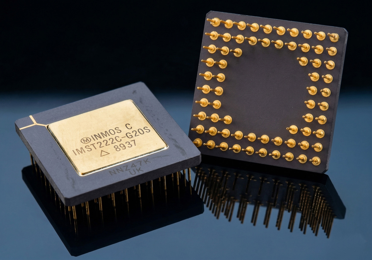 Immagine di apertura