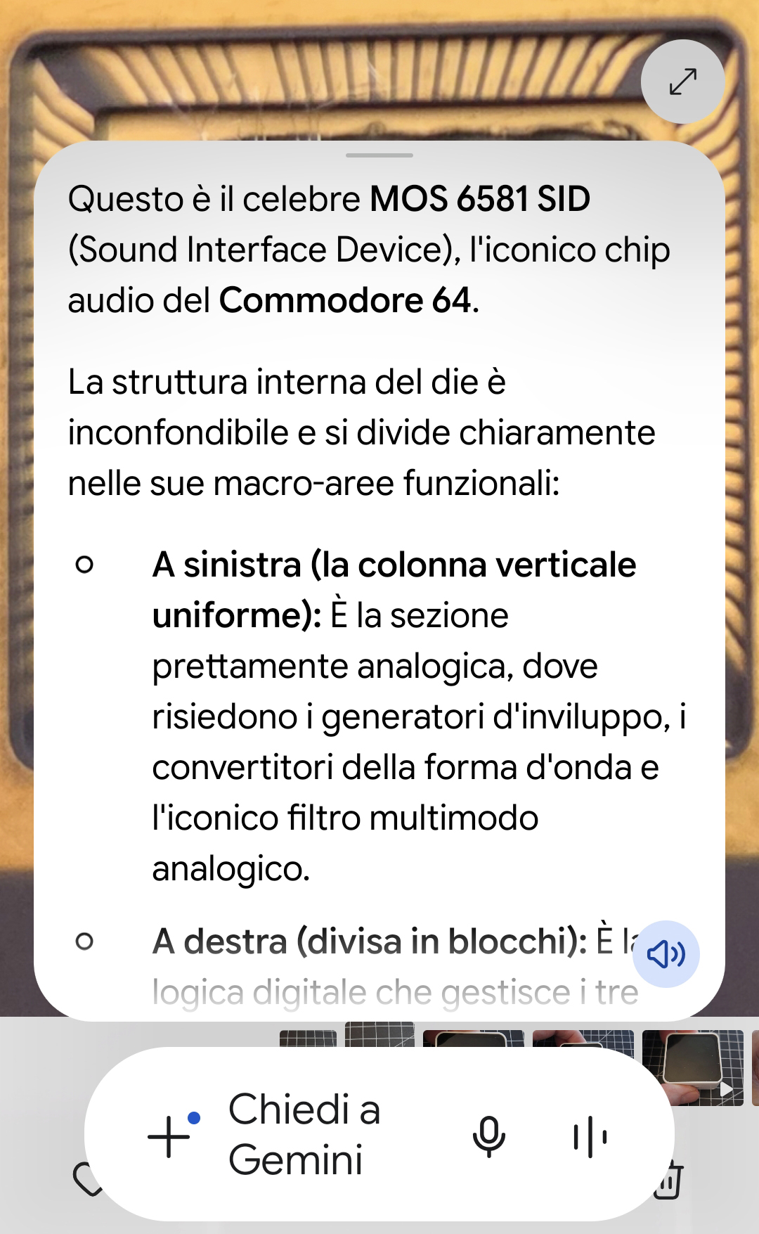 Immagine_inline