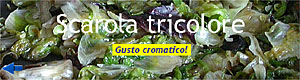 Scarola tricolore - Gusto cromatico!